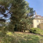 462545699 1060422969100246 544045655245895810 n